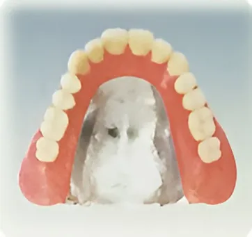 ハイグレードタイプ 純チタン・チタン合金